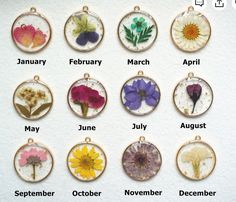 twelve months of the year with pressed flowers in glass pendants on a white background