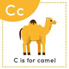 the letter c is for camel with an image of a camel on it's back