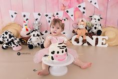 Twin Life, Barnyard Birthday, 1st Birthday Photos, Birthday Photoshoot