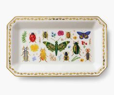 Curio Large Catchall Tray - The Preppy Bunny Porcelain Tray, Catchall Tray, Beautiful Bugs, Trinket Tray, Gifts For Nature Lovers, Beetles, Porcelain Vase, Bits And Bobs, Trinket Dishes