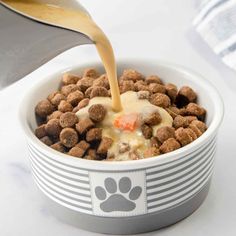 a person pouring milk into a bowl filled with dog food