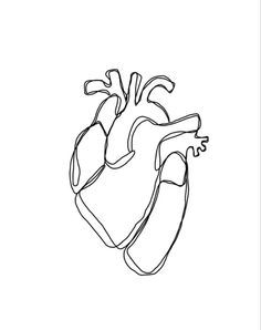 a drawing of the heart in black and white, with one line drawn to it's left side