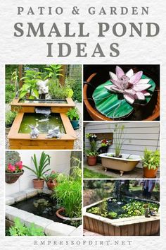 an article about patio and garden small pond ideas, with pictures of plants in the center