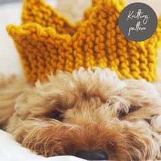 a small dog wearing a knitted crown on top of it's head with its eyes closed