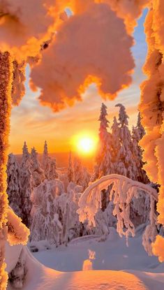 the sun is setting behind some trees covered in snow and ice as seen through an archway