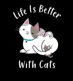 two cats are hugging each other with the words life is better with cats on it