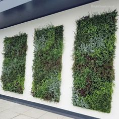 three panels of green plants on the side of a building with white walls and tile flooring