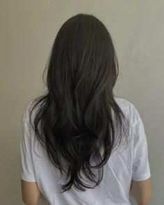 Medium Layered V Shaped Haircut, Manta Ray Haircut, Long Layered Haircuts Asian Hair, Asian Layer Hair, Asian Long Layered Haircuts, Hair Cuts For Long Thick Hair Straight, Wispy Ends Haircut, Korean Hairstyle Layered, Long Layered Hair Asian Straight