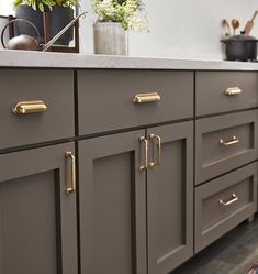 a kitchen with gray cabinets and gold pulls on the handles, along with potted plants