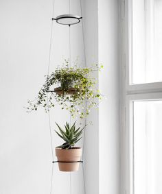 two hanging planters with plants on them in front of a white wall and window