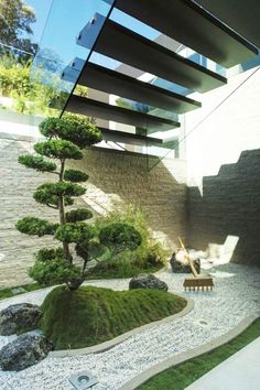 an outdoor area with rocks, grass and a small tree in the middle of it