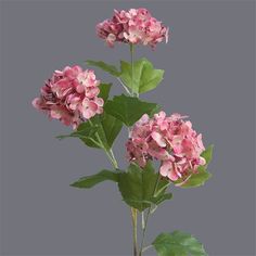 three pink flowers with green leaves on a gray background