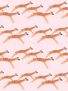 giraffes are running in the same direction as each other on a pink background