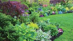 a garden filled with lots of different types of flowers