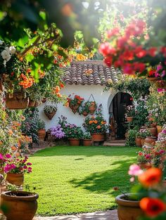 an outdoor garden with potted plants and flowers