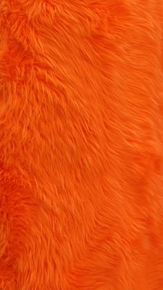 an orange fur texture is shown in this image