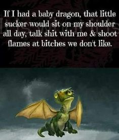 a baby dragon sitting on top of a snow covered ground with the caption, if i had a baby dragon, that little sucker would sit on my shoulder all day, talk