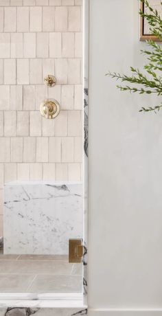 a bathroom with marble and brass fixtures, including a plant in the shower stall door