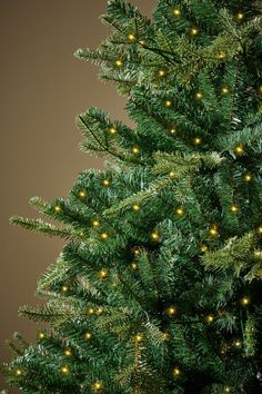 a green christmas tree with yellow lights on it's branches and the bottom part of its