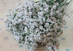 a bunch of white flowers sitting on top of a floral covered tablecloth next to each other