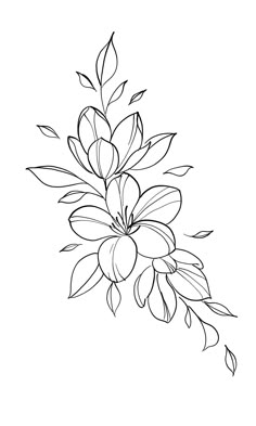 Flower Outline Tattoo, Flower Tattoo Stencils, Stencil Outline, Tattoo Practice, Flower Drawing Design, Flower Outline, Tattoo Stencil Outline, Floral Drawing