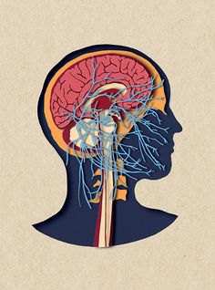 an image of the human head with blood vessels coming out of it's brain