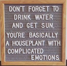 a sign that says don't forget to drink water and get sun, you're basically a houseplant with complicated emotions