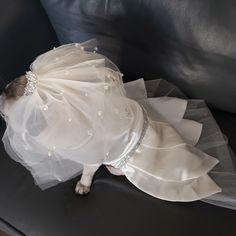 a small dog dressed up in a wedding dress on a couch with a veil over it's head