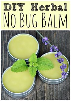 Homemade Salve, Herbal Remedies Recipes, Herbal Salves, Herbs And Flowers