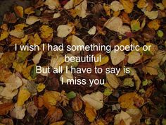 the words i wish i had something polite or beautiful but all i have to say is miss you