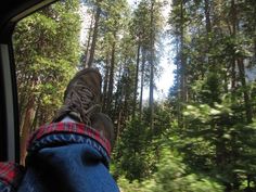 someone's feet in the window of a vehicle as they drive through a forest