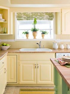 a kitchen filled with lots of counter top space next to a sink and window covered in potted plants