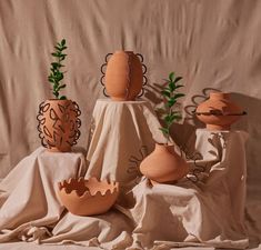 several clay vases with plants in them on a cloth