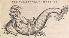 an old book with a drawing of a dragon on it's back side and the words pan velastyre v's marvins