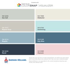 the color scheme for colorsnap visualizer is shown in blue, gray and pink