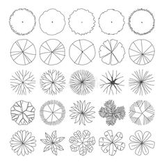 the different shapes and sizes of flowers are shown in black and white on a white background