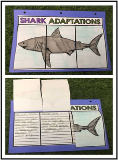 two pictures of sharks with the words shark abaptions written on them and an image of