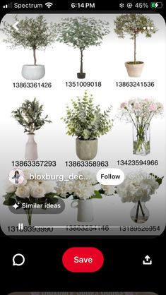 an image of flowers in vases on a cell phone with the numbers displayed below