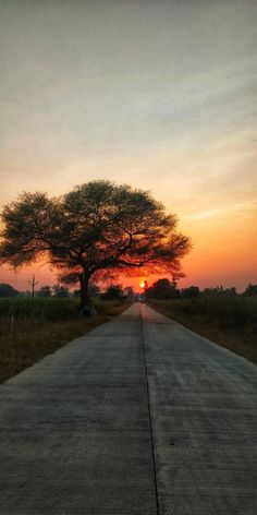 the sun is setting on an empty road with trees in the foreground and grass to the side