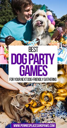 Best Dog Party Games for Your Next Dog-Friendly Gathering Dog Games Indoor, Puppy Party Games, Dog Party Ideas, Dog Party Games, Pet Diy Projects, Fun List, Dog Games, Dog List