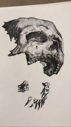 a black and white drawing of a human skull