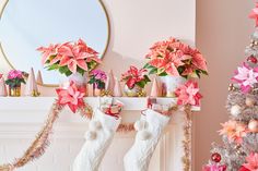 christmas stockings and poinsettis are hanging on the mantel