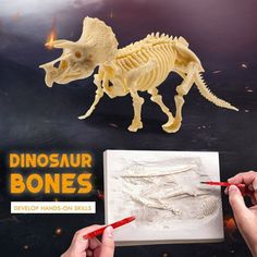 two hands are drawing a dinosaur skeleton on a piece of paper