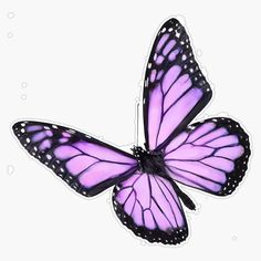 a purple butterfly flying through the air with white dots on it's back end