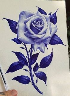 Stylo Art, Blue Rose Tattoos, Pen Art Work