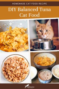 DIY Balanced Tuna Cat Food