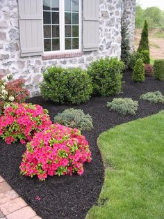 landscaping in front of a house with flowers and shrubs