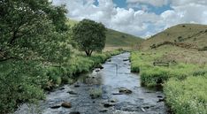 a river running through a lush green hillside