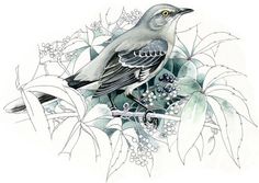 a drawing of a bird sitting on top of a tree filled with leaves and berries