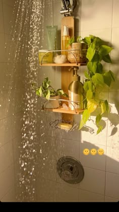 a shower head with water running from it and plants growing out of the faucet